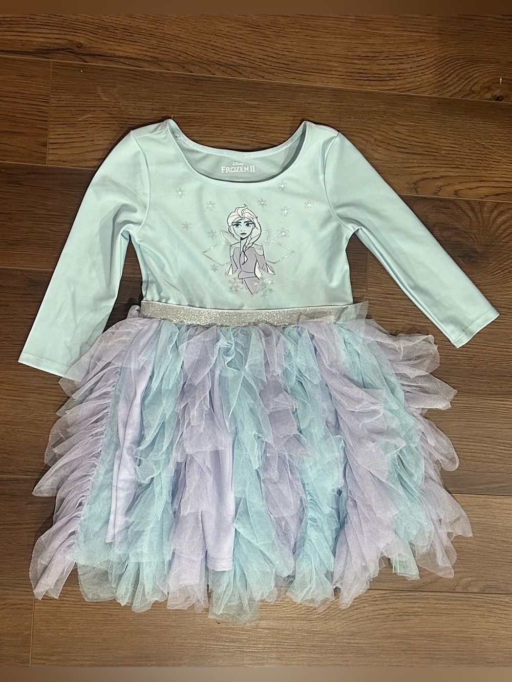 Disney Frozen II Elsa Tulle Dress 5T
